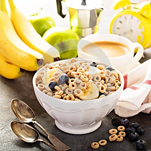 Healthy cold cereal in a white bowl