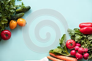 Healthy concept. Fresh vegetables on blue background. Place for text.