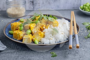 Healthy cooked tofu with sauce and rice