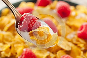 Healthy Cornflake Cereal