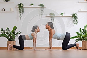 Healthy couple mom and little girl doing yoga cat cow pose on yoga mat at home.Female mother and daughter practice yoga breathing