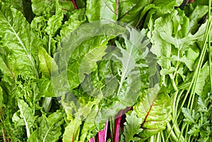Dark leafy salad greens photo