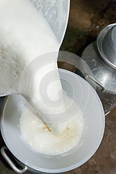 Pouring fresh milk from the bucket into the pitcher