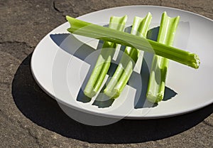 Healthy Diet Celery Sticks On Stone Background