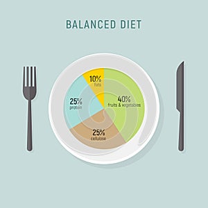 Healthy diet food, balance nutrition plate. Vector health meal chart infographic, diet plan concept