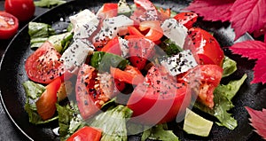 Healthy diet organic greece salad