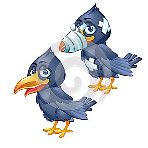 Healthy and diseased crow isolated on a white background. Vector cartoon close-up illustration.