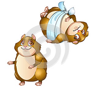 Healthy and diseased hamster isolated on a white background. Vector cartoon close-up illustration.