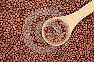 Healthy Dried Carlin Peas High In Protein