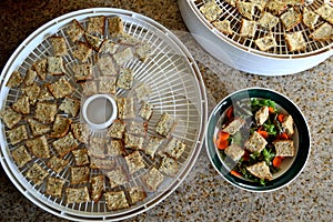 Croutons on dehydrator tray edible garnish salad