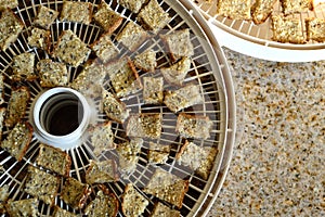 Croutons on dehydrator tray edible garnish