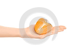 Healthy eating and diet Topic: Human hand holding a half of persimmons isolated on white background in the studio