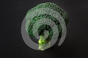 Fresh green broccoli tree on dark background