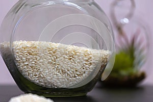 Healthy eating rice groats in a glass jar standing on a table with a green plant on the background