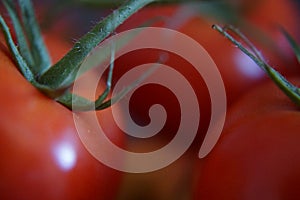 Healthy eating - Tomatoes in close-up