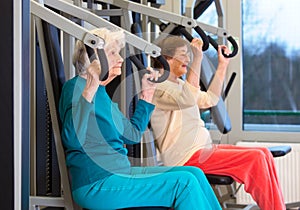 Healthy Elderly Ladies in Chest Press Exercise