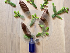 healthy essential oil glass bottle concentrating spruce cones and buds