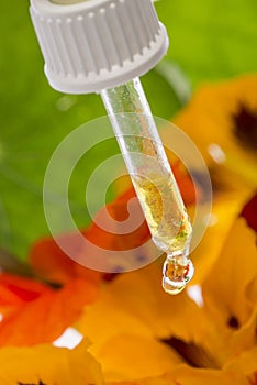 The healthy extract from nasturtium flower Tropaeolum