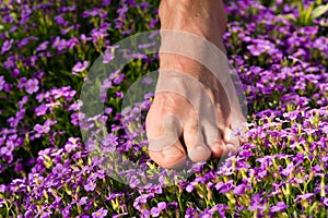 Healthy feet: feet and flowers