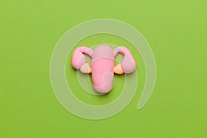 Healthy female uterus on a green background. Gynecological diseases and pain treatment. Reproductive system and pregnancy