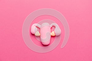 Healthy female uterus on pink background. Gynecological diseases and pain treatment. Reproductive system and pregnancy