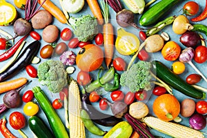 Healthy food background. Autumn vegetables and crop top view. photo