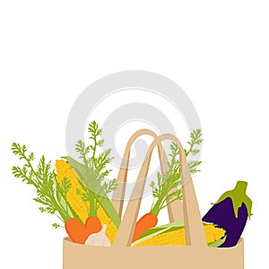 Healthy food background. Healthy vegan vegetarian food in paper bag vegetables on white, copy space, banner.