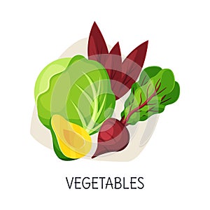 Healthy Food for Brain, Vegetables, Active Lifestyle, Healthy Diet Elements Vector Illustration