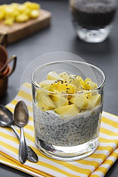 Healthy food. Chia seed pudding with pineapple. Copy space