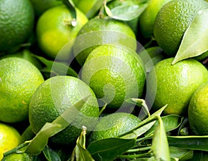 Healthy food - close view of unripe green mandarins att Spanish farm market photo