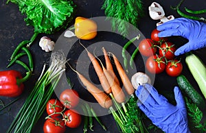 Healthy food concept with fresh vegetables and gloved hands on a dark background: tomato, zucchini, onion, lettuce, dill