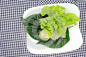 Healthy food concept, Fresh vegetables spring rolls.