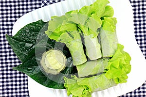 Healthy food concept, Fresh vegetables spring rolls, Healthy asian wraps.