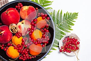 Healthy food concept Summer fruits Peach, apricot and red currant burry in pie pan