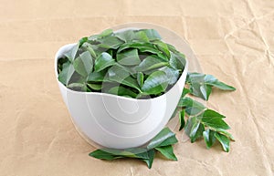 Healthy Food Curry Leaves or Kadi Patta in a Bowl