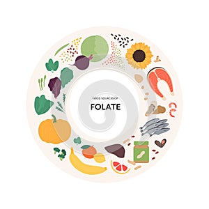 Healthy food guide concept. Vector flat illustration. Infographic of folate b9 vitamin sources. Circle frame chart. Colorful