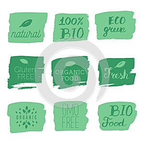 Healthy food icons, labels. Organic tags. Natural product elements. Logo for vegetarian restaurant menu. Raster illustration. Low