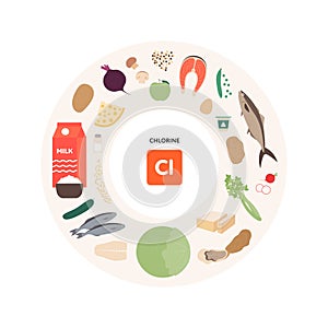 Healthy food micronutrients guide concept. Vector flat illustration. Collection of chlorine product sources. Colorful set of seeds photo