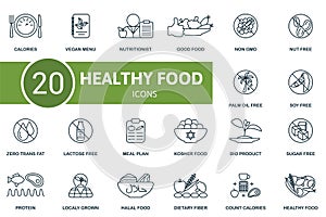 Healthy food outline icons set. Creative icons: calories, vegan menu, nutritionist, good food, non gmo, nut free, palm