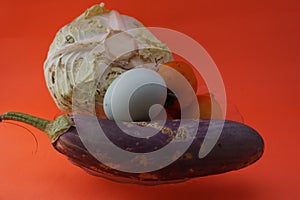 Healthy food package consisting of duck eggs, tomatoes, cabbage, eggplant isolated on orange background