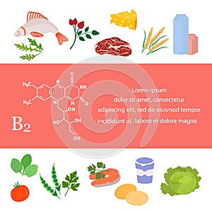 Healthy Food Proper Nutrition Vitamin B2 Organic