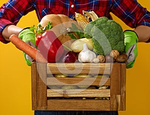 Closeup on woman grower showing box of fresh vegetables
