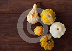 Healthy food from vegetables. Autumn harvest of pumpkins on wooden board.