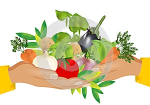 Healthy food (vegetables), cdr vector