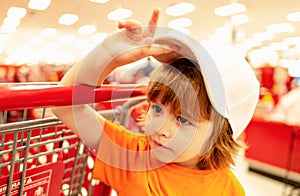 Healthy food for young family with kids. Portrait of funny little child holding shopping bag full of fresh vegetables.