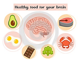 Healthy food for your brain. Concept of food and vitamins, stimulation, improvement of mental performance. Vector