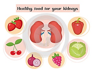 Healthy food for your kidneys infographic. Concept of food and vitamins, medicine, kidney disease prevention. Vector