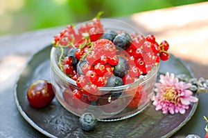 Healthy forest fruits, forest berries, healthy organic seasonal fruit in glass bowl