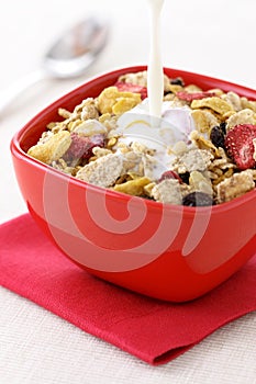 Healthy fresh cereal
