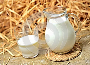Healthy fresh cow's milk in a transparent glass and a glass jug. Dry straw and hay as decoration in the background